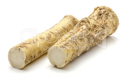 Fresh horseradish isolated on white