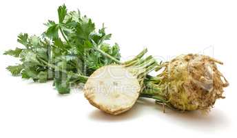 Fresh celery isolated on white