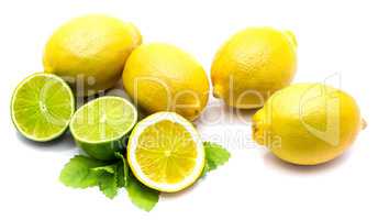 Fresh mixed citrus isolated on white