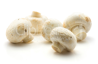 Raw champignons isolated on white