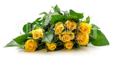 Fresh yellow roses isolated on white