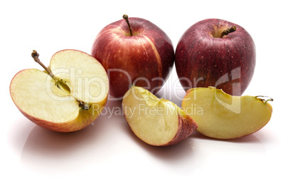 Apple gala variety isolated on white