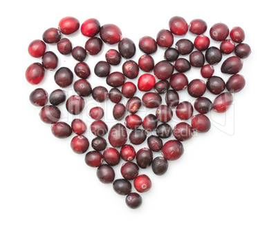 Fresh Cranberry isolated on white