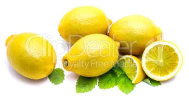 Fresh lemon and melissa isolated
