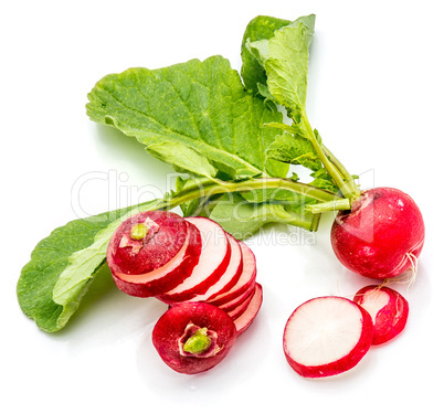 Fresh red radish isolated on white