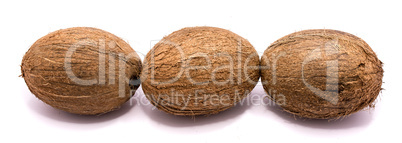 Fresh coconut isolated on white