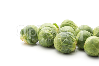 Raw brussels sprout isolated