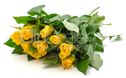 Fresh yellow roses isolated on white