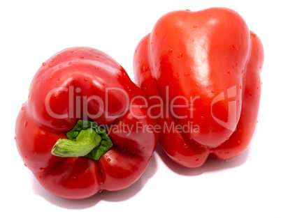 Fresh red paprika isolated on white