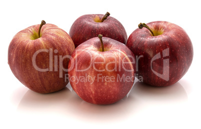 Apple gala variety isolated on white