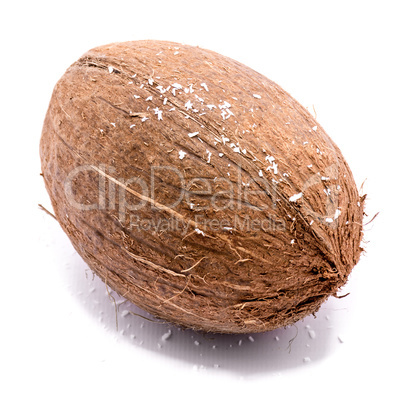 Fresh coconut isolated on white