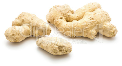 Fresh ginger root isolated on white