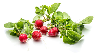 Fresh red radish isolated on white