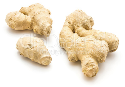 Fresh ginger root isolated on white