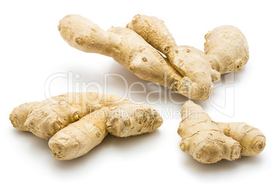 Fresh ginger root isolated on white