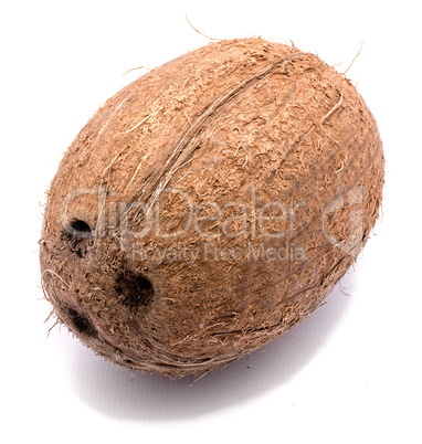 Fresh coconut isolated on white