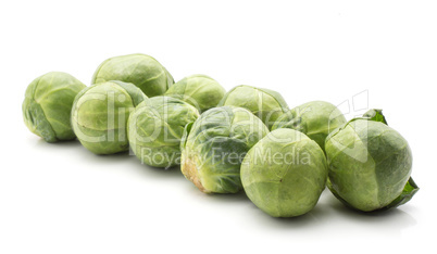 Raw brussels sprout isolated