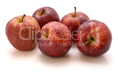 Apple gala variety isolated on white