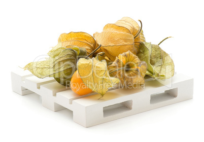 Fresh physalis isolated on white