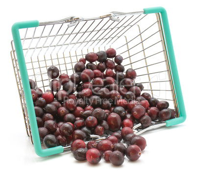 Fresh Cranberry isolated on white