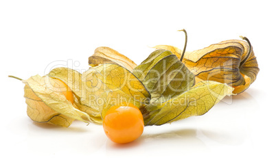 Fresh physalis isolated on white