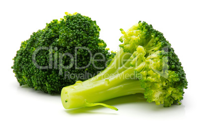 Broccoli isolated on white