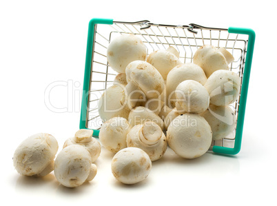 Raw champignons isolated on white