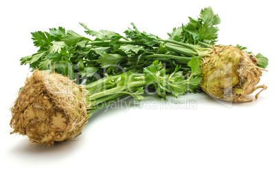 Fresh celery isolated on white