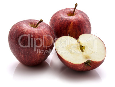 Apple gala variety isolated on white