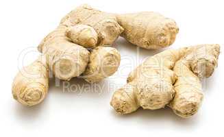 Fresh ginger root isolated on white