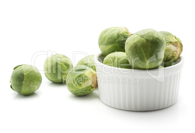 Raw brussels sprout isolated