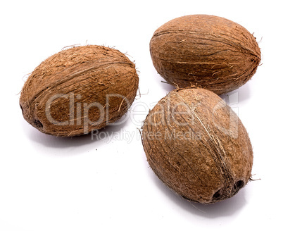 Fresh coconut isolated on white