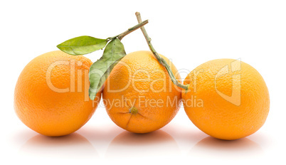 Fresh orange isolated on white