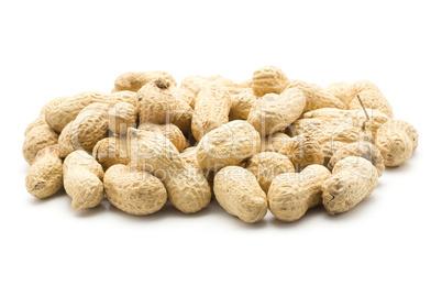 Raw peanut isolated on white