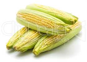 Fresh corn isolated on white