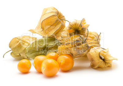 Fresh physalis isolated on white