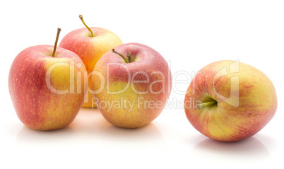 Raw evelina apple isolated