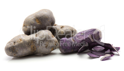 Fresh vitelotte potato isolated on white