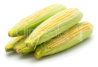 Fresh corn isolated on white