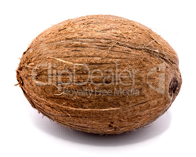 Fresh coconut isolated on white Fresh coconut isolated on white
