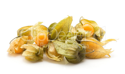 Fresh physalis isolated on white