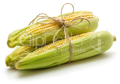 Fresh corn isolated on white