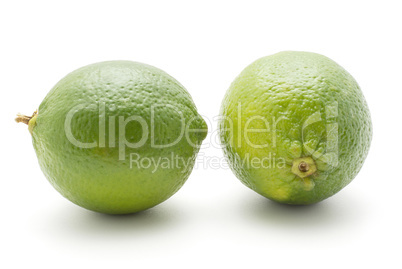 Fresh isolated lime on white