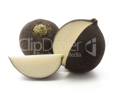 Black radish isolated on white