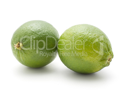 Fresh isolated lime on white