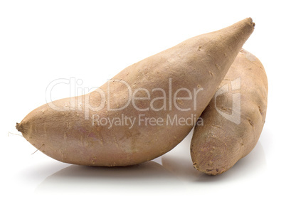 Fresh raw sweet potato isolated on white