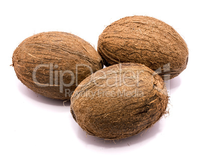 Fresh coconut isolated on white
