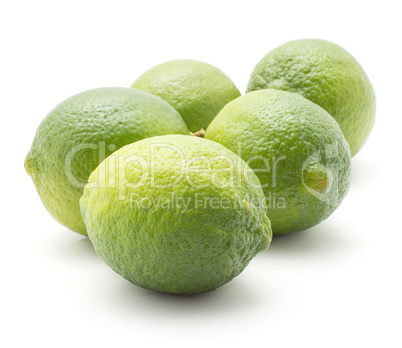 Fresh isolated lime on white