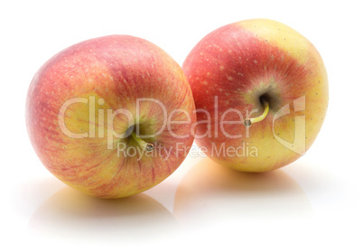 Raw evelina apple isolated