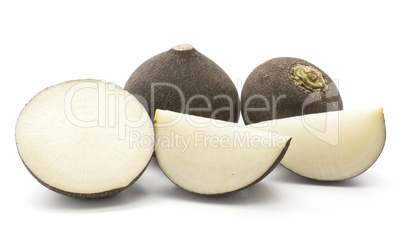 Black radish isolated on white